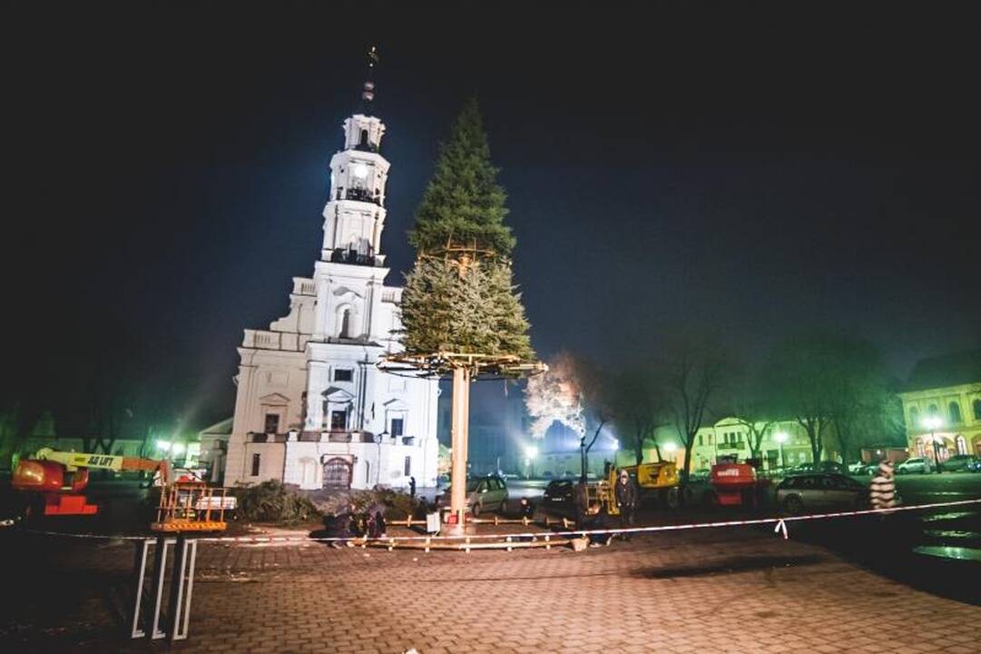 Rotušės aikštėje ryškėja auksinės Kalėdų eglės kontūrai