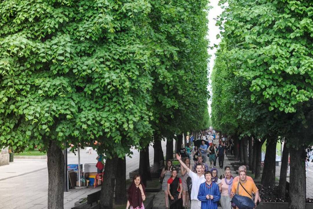 Visą dieną Kaunas pulsuoja muzikos ritmu