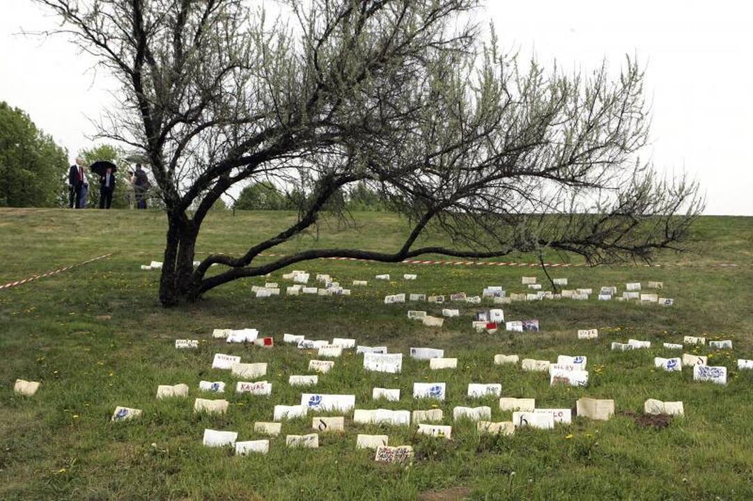Artėja Hanzos dienos: dar reikia išplauti šlapimo kvapo persmelktas tarpuvartes