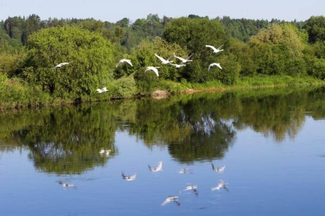„Raketa“ iš Kauno į Nidą plauks ir penktadieniais