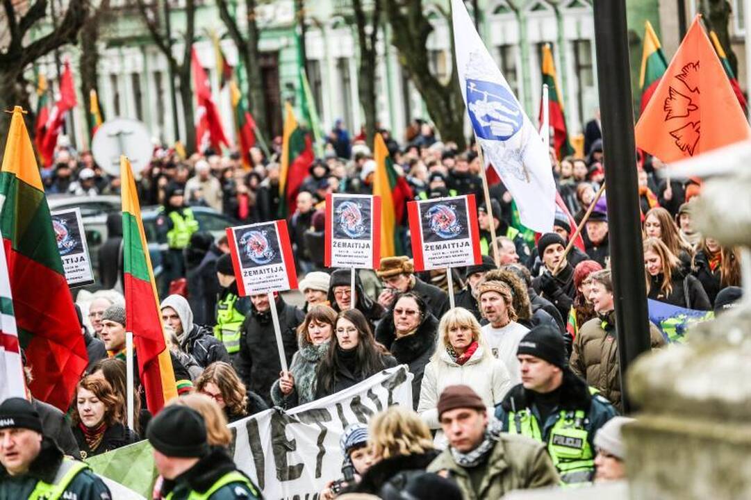 Provokacija nepavyko: tautininkų eitynės baigėsi sugiedojus himną