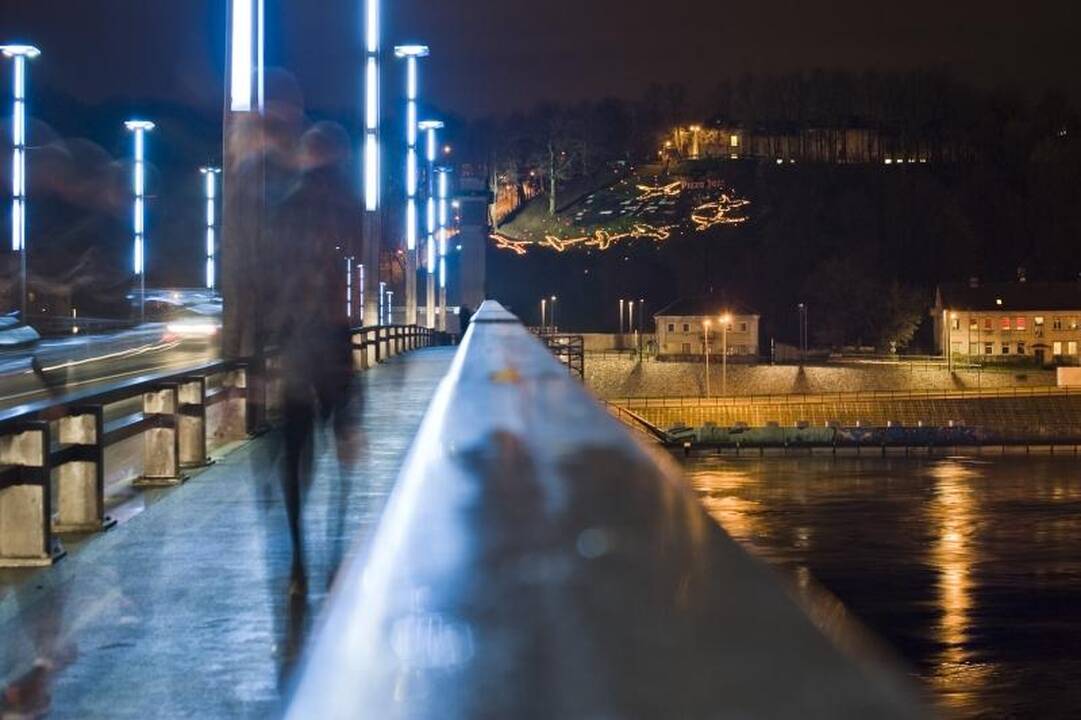 Ant Aleksoto kalno sparnus išskleidė septynios gervės