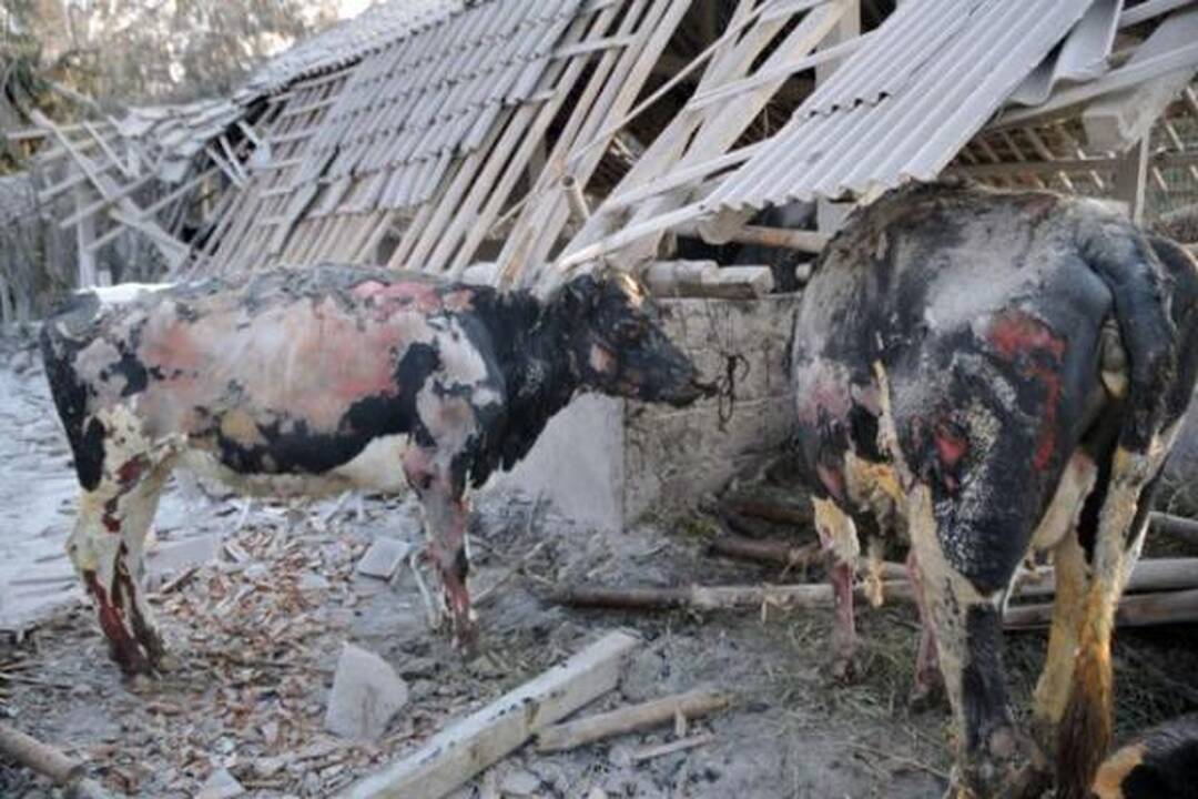 Indonezijoje cunamio aukų padaugėjo iki 343