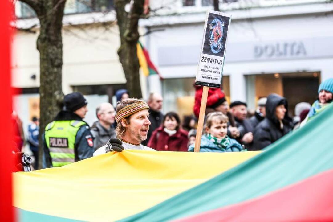 Provokacija nepavyko: tautininkų eitynės baigėsi sugiedojus himną