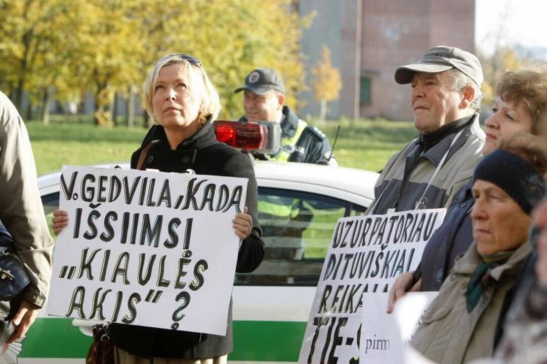 Mitingavę dituviškiai: bendrijos pirmininkas - apsišaukėlis!