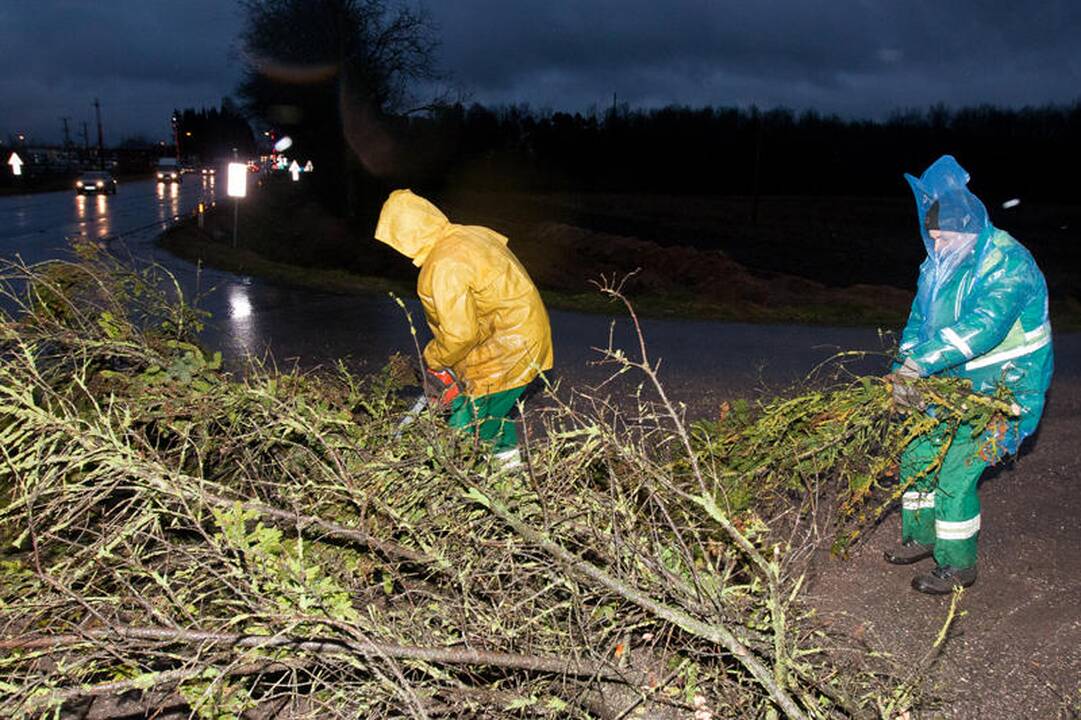 Naktį dėl vėjo ant kelių gali pasitaikyti nulūžusių medžių ar šakų