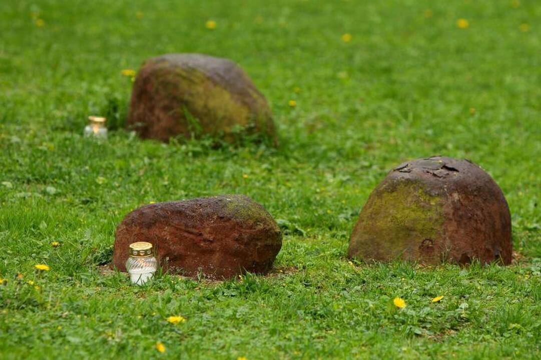 S.Stoma: Romo Kalantos auka buvo beprasmė