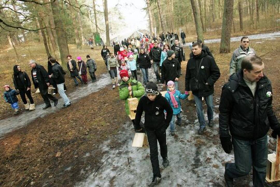 Dovana sugrįžtantiems paukščiams – inkilai