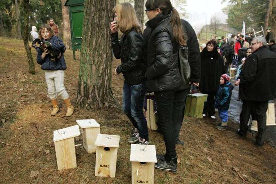Dovana sugrįžtantiems paukščiams – inkilai