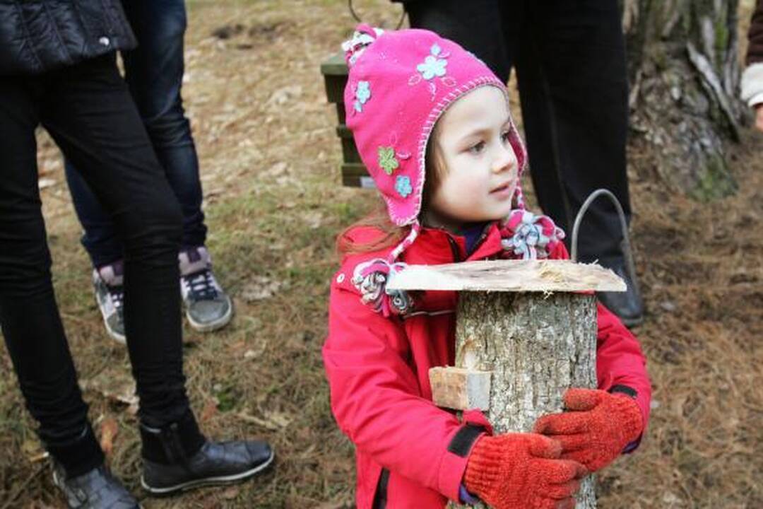Dovana sugrįžtantiems paukščiams – inkilai