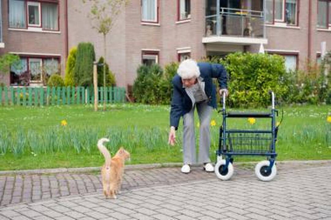 Floridoje sulaikytas įtariamas kačių skerdikas