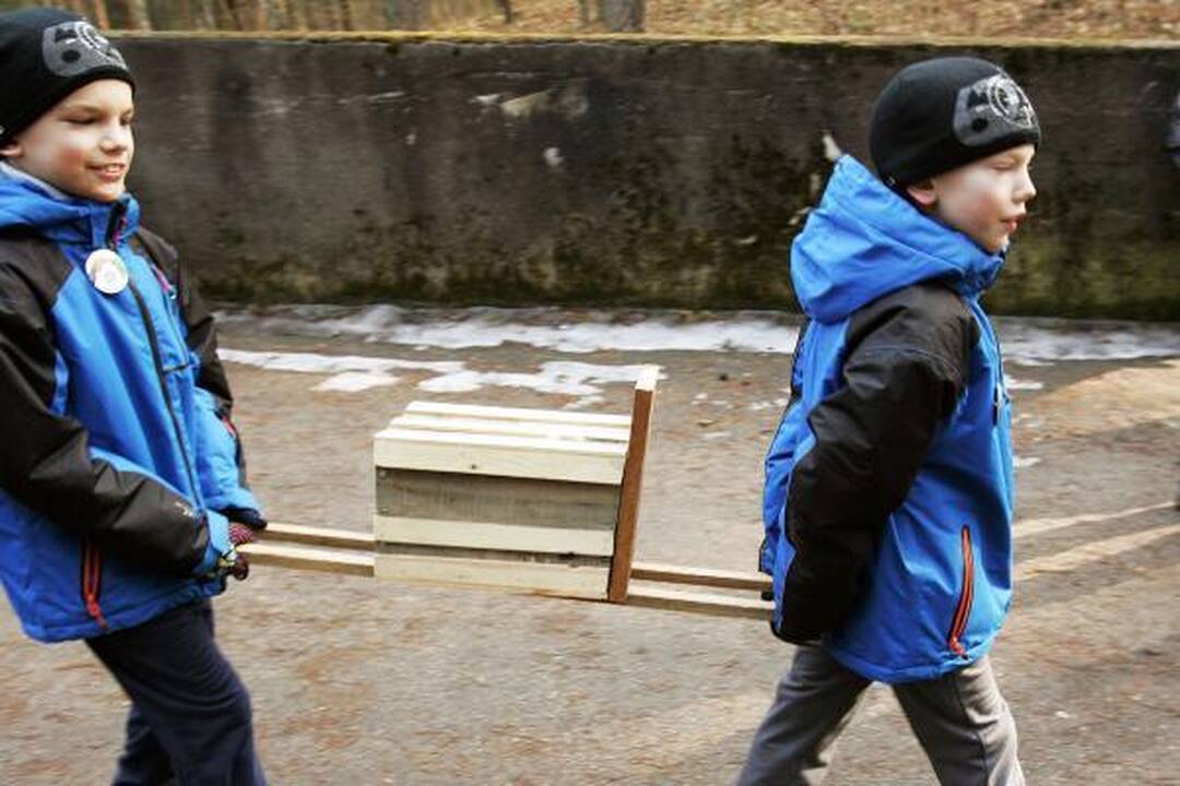 Dovana sugrįžtantiems paukščiams – inkilai