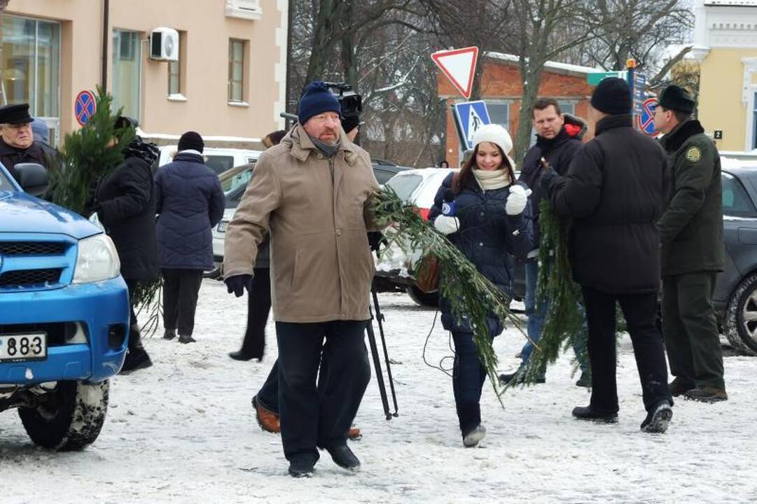 Klaipėdiečiai graibstė nemokamas eglių šakas