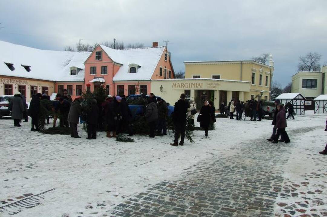 Klaipėdiečiai graibstė nemokamas eglių šakas