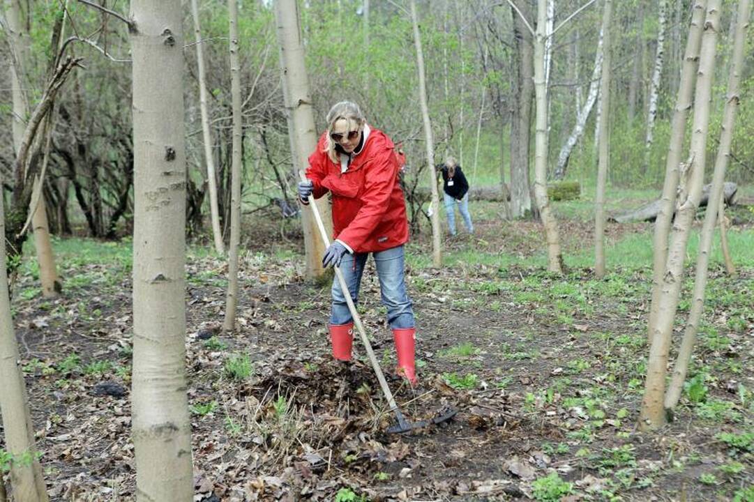 Sealas ir Heidi Klum paskelbė apie išsiskyrimą (papildyta)