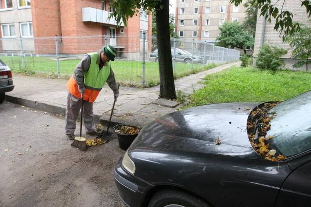 Tarp rudeninių lapų - ligos užkratas 