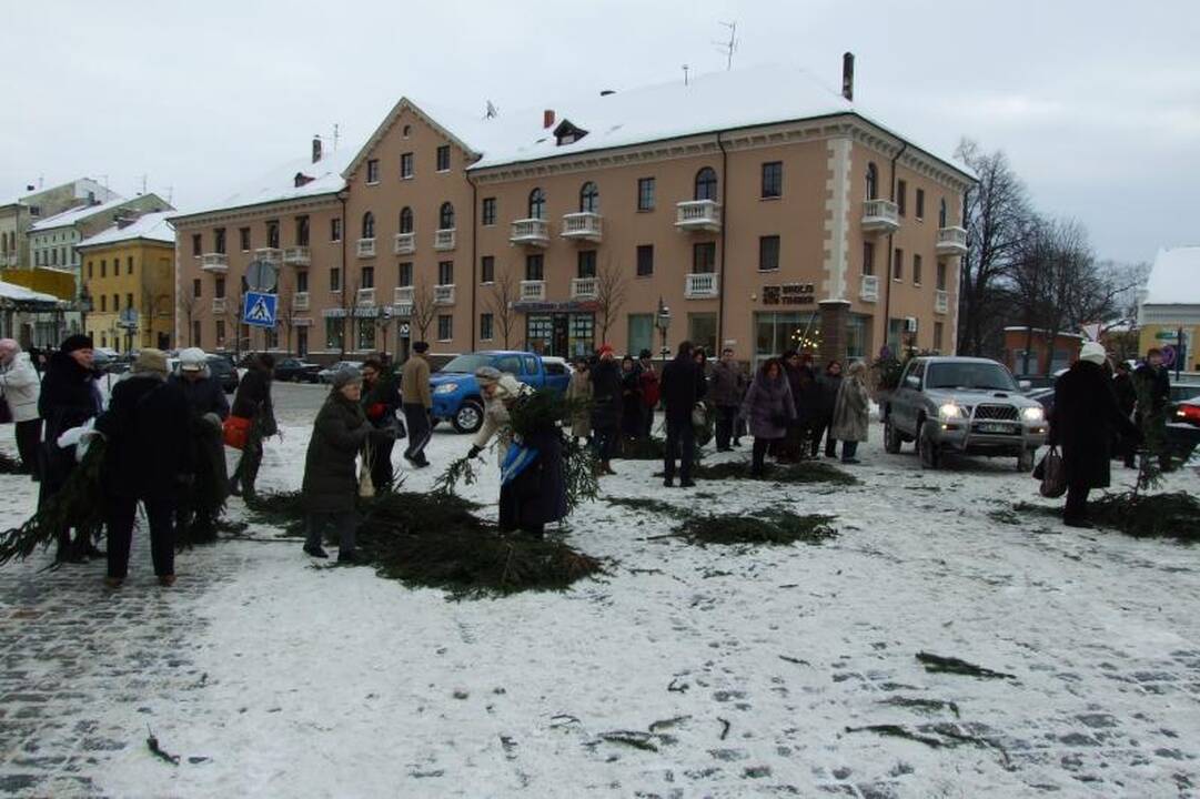Klaipėdiečiai graibstė nemokamas eglių šakas