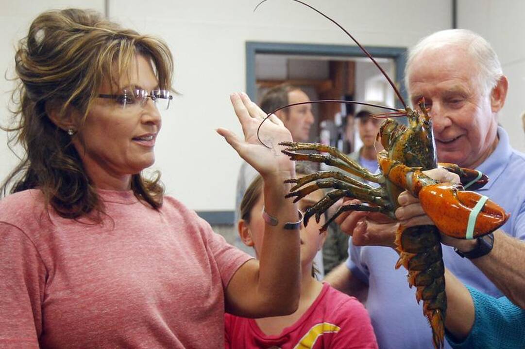 Ekstravagantiška Sarah Palin asmenybė   
