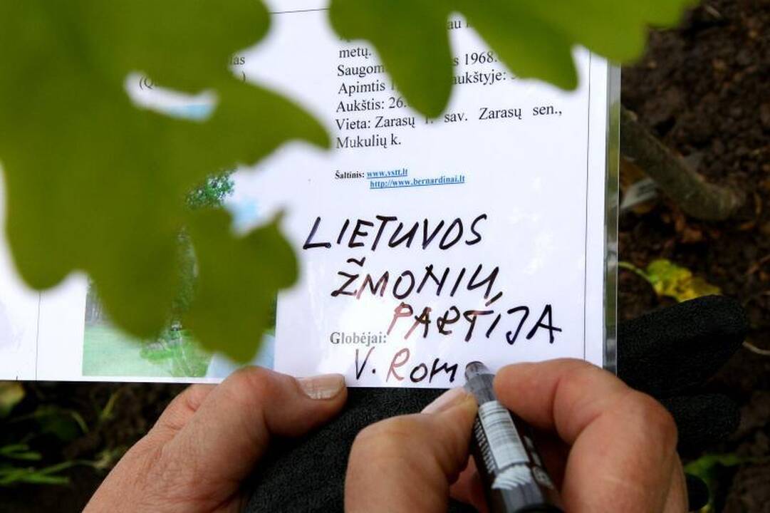 Unikalių Lietuvos ąžuolų giraitė plečiasi