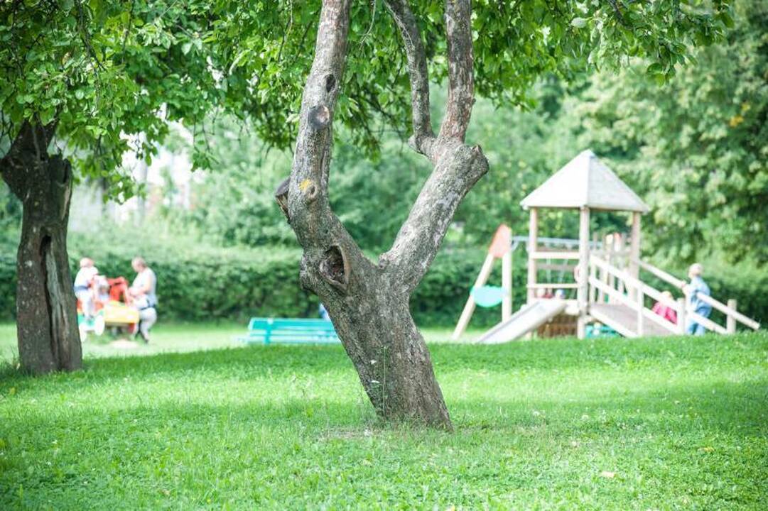 Pagrobta penkiametė patikėjo  „seneliu“ 