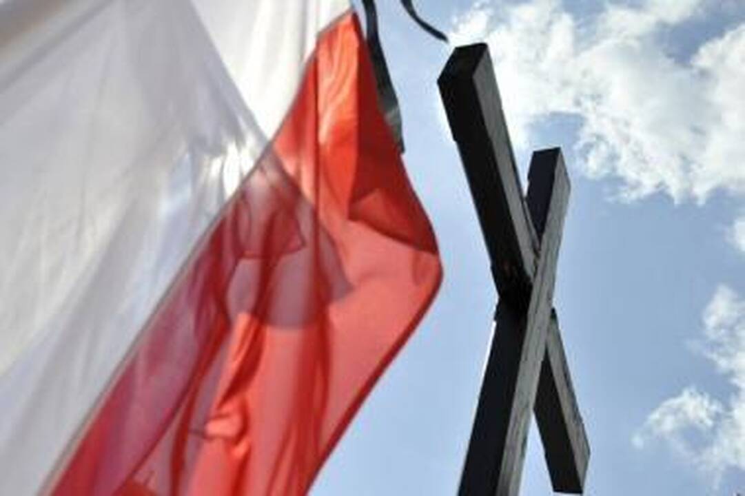 Ambasadorius: Lenkijoje dislokuota gynybinė JAV technika nenukreipta prieš Rusiją