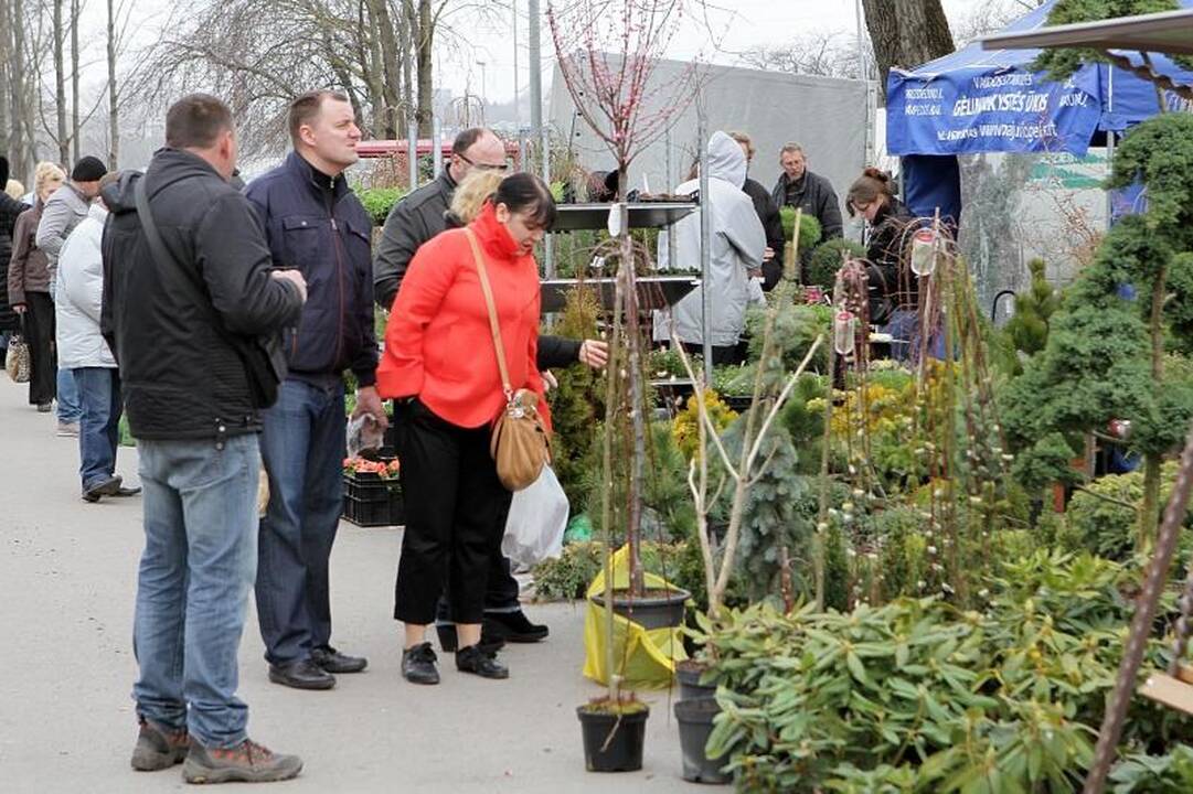 Sodininkų mugėje – nuo ekologiškų vaismedžių ir retų veislių augalų