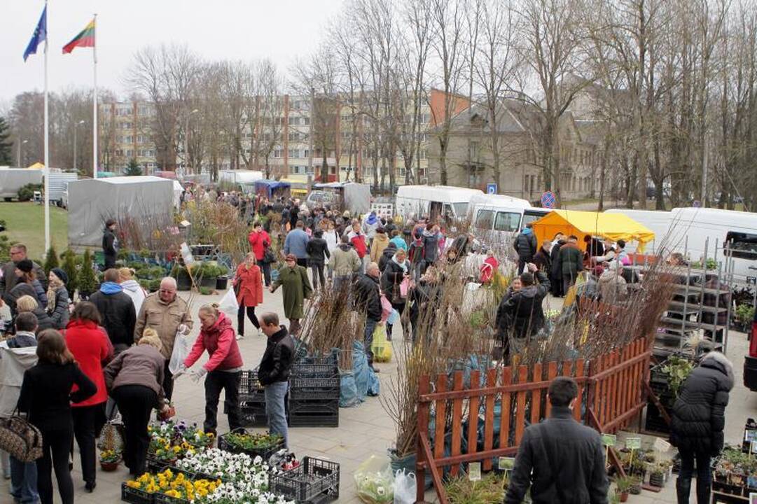 Sodininkų mugėje – nuo ekologiškų vaismedžių ir retų veislių augalų