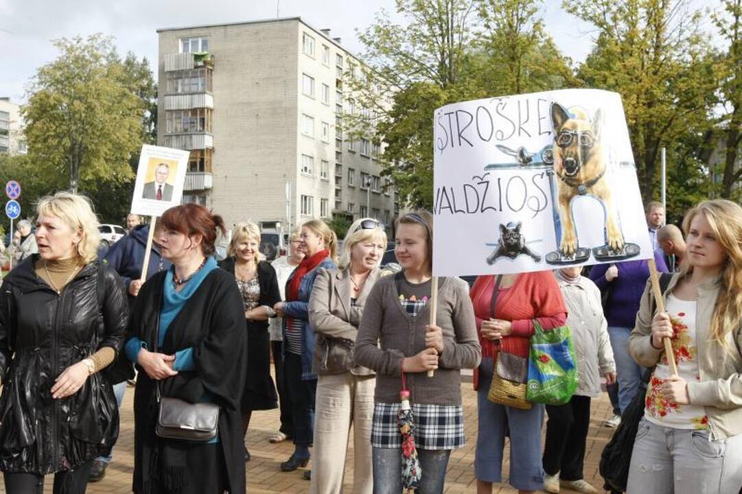 Prieš lemiamą posėdį – Klaipėdos rajono mero palaikymo piketas