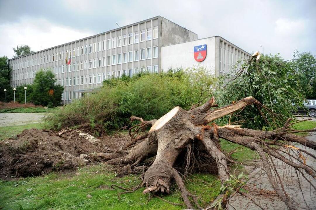 „Lesto“: elektros vis dar neturi apie 3 tūkst. vartotojų