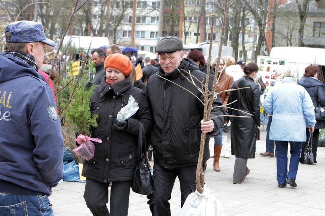Sodininkų mugėje – nuo ekologiškų vaismedžių ir retų veislių augalų