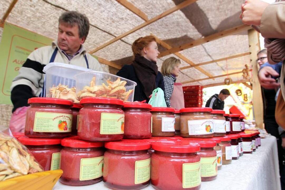 Tautų mugėje – uogienių festivalis, Gdansko dienos, pramogų įvairovė 