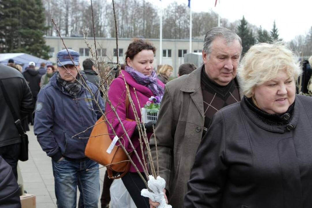 Sodininkų mugėje – nuo ekologiškų vaismedžių ir retų veislių augalų