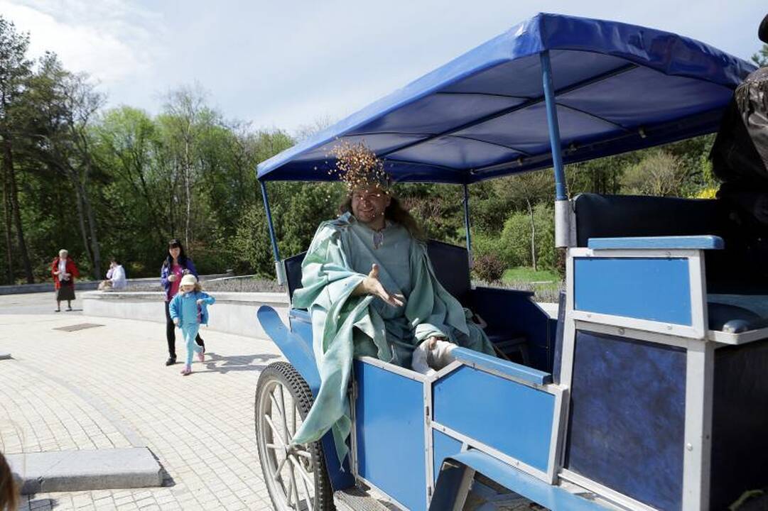 Palangoje šeštadienį gausiai lijo gintarais