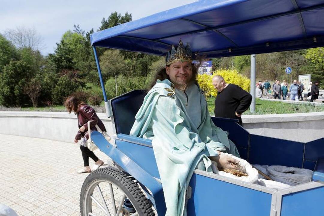 Palangoje šeštadienį gausiai lijo gintarais