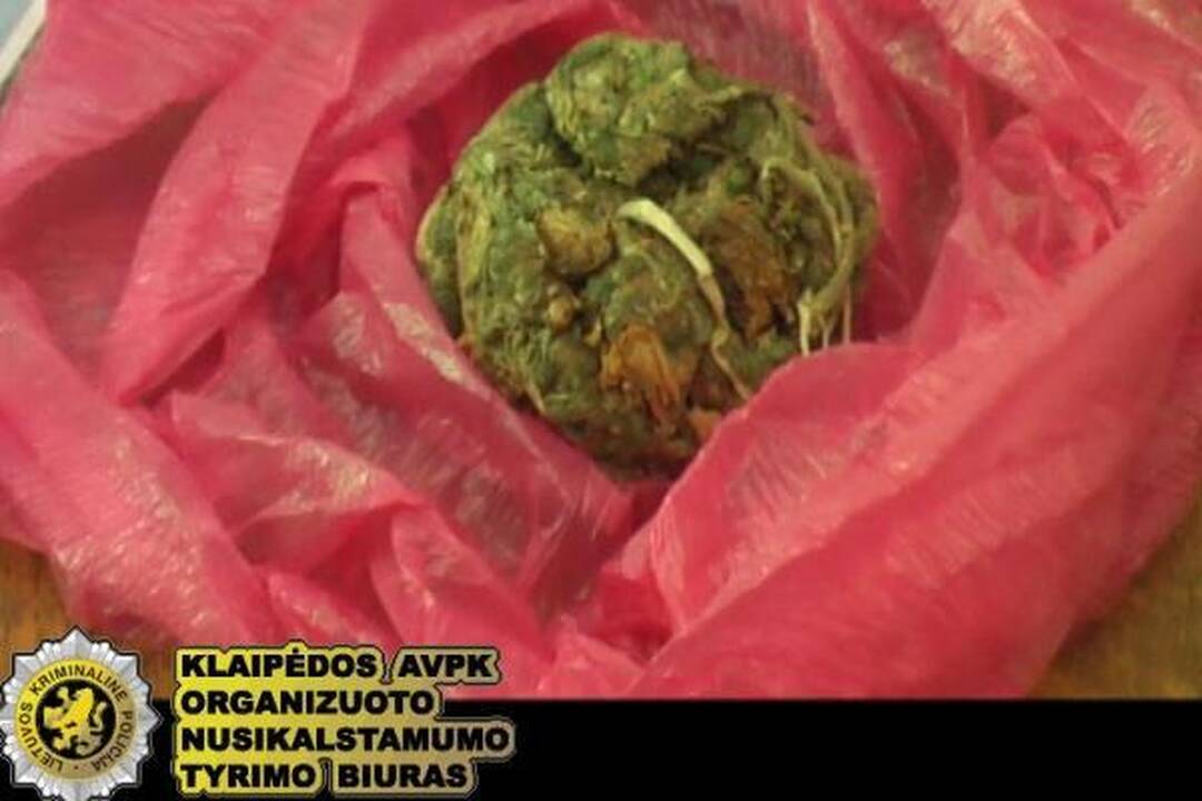 Klaipėdoje sulaikyti nepilnamečiai narkotikų platintojai