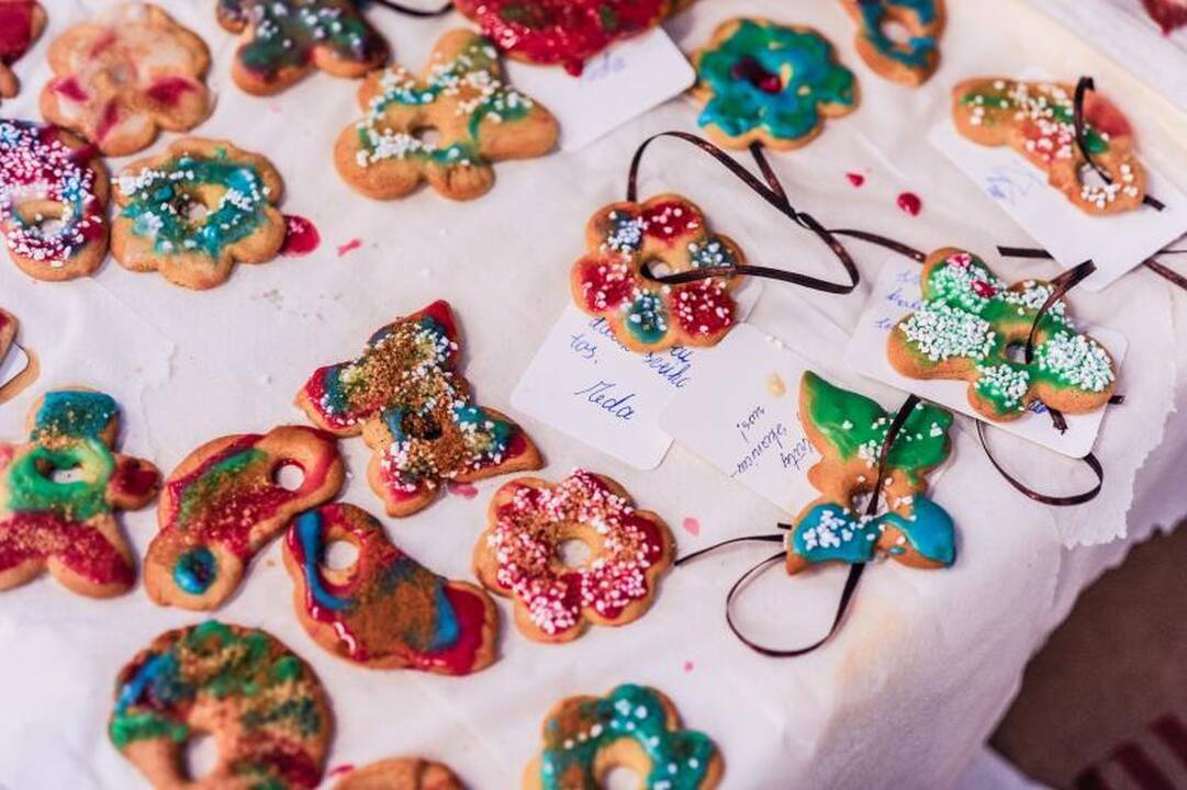 Globos namų vaikams nuspalvino tūkstančius meduolių