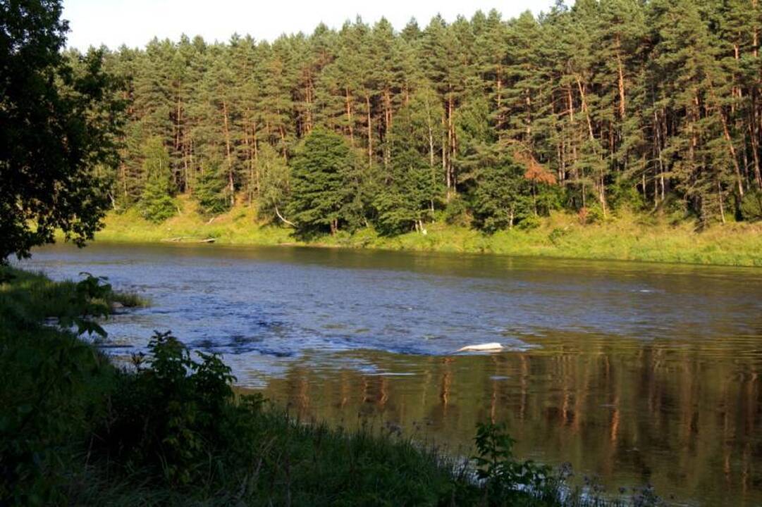 Kelionė laiku po Neries regioninį parką 