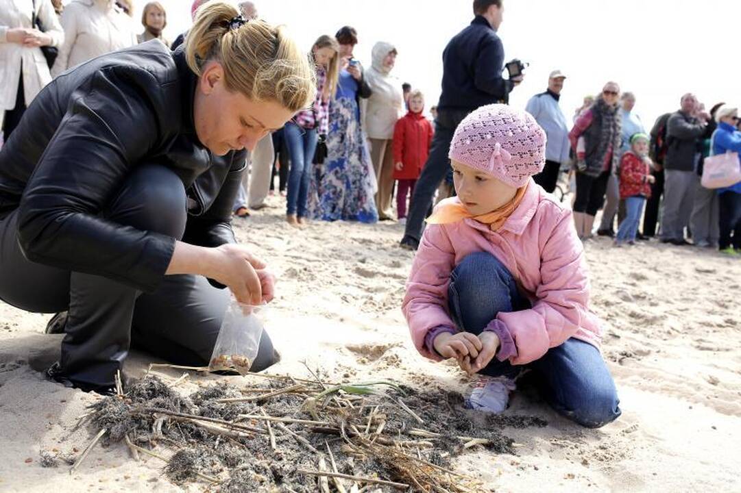 Palangoje šeštadienį gausiai lijo gintarais