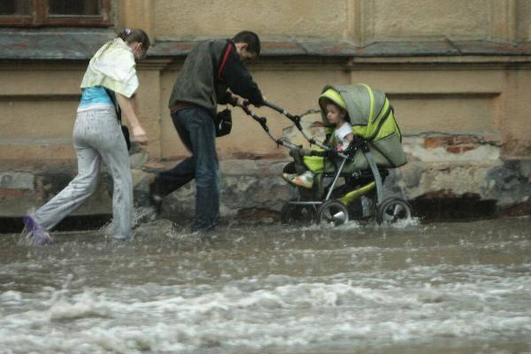 Smarki liūtis Kaune skandino miestą (papildyta)
