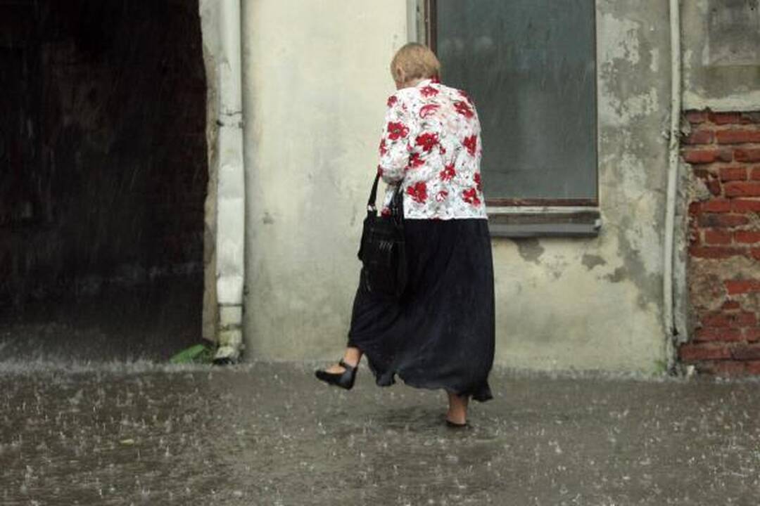 Smarki liūtis Kaune skandino miestą (papildyta)