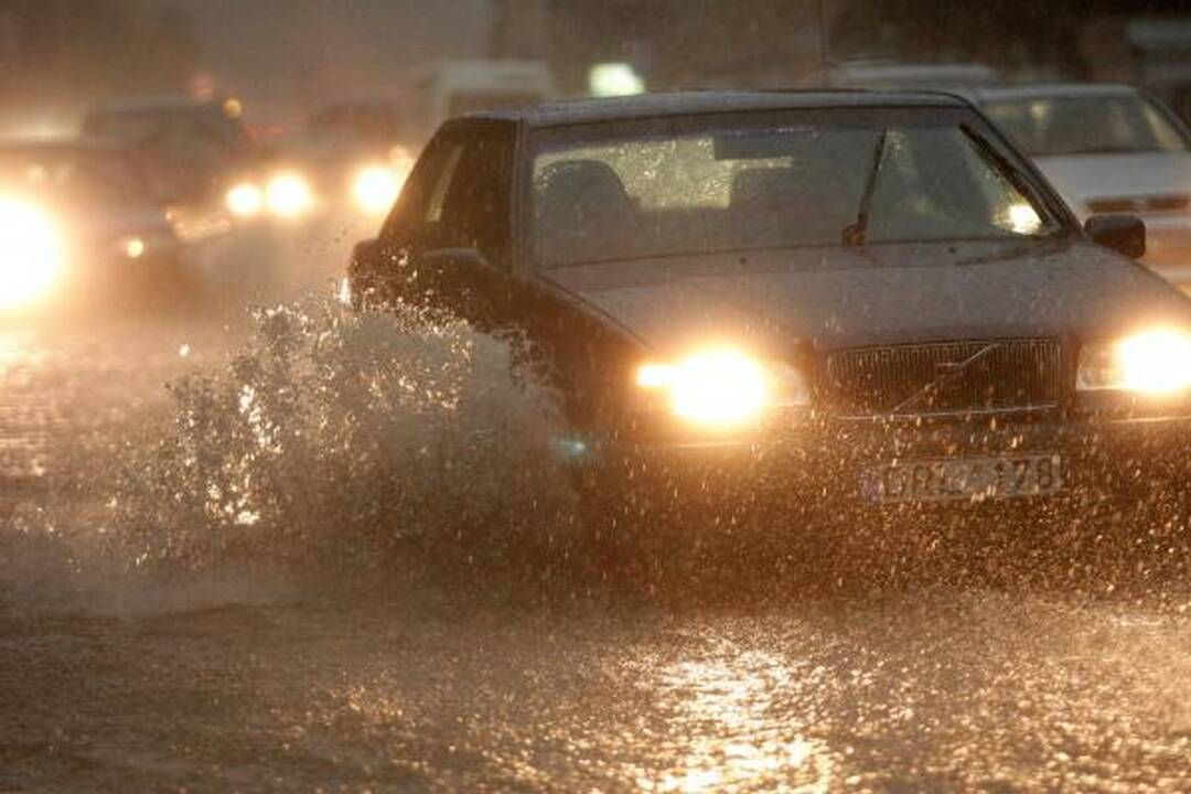 Smarki liūtis Kaune skandino miestą (papildyta)