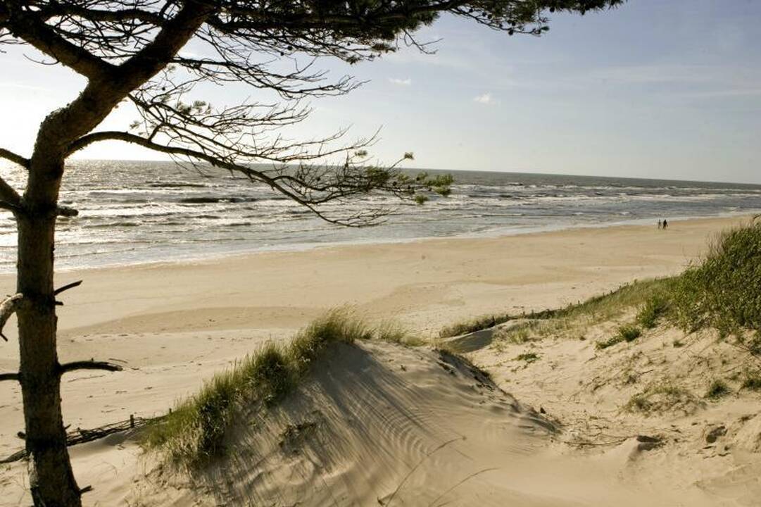 Titano kopos stulbinamai primena žemiškąsias
