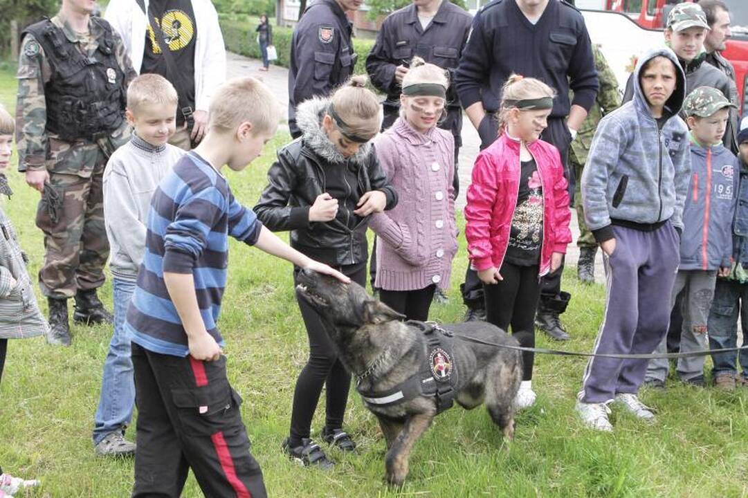 Kelionė po Vaclovo Into akmenų pasaulį  