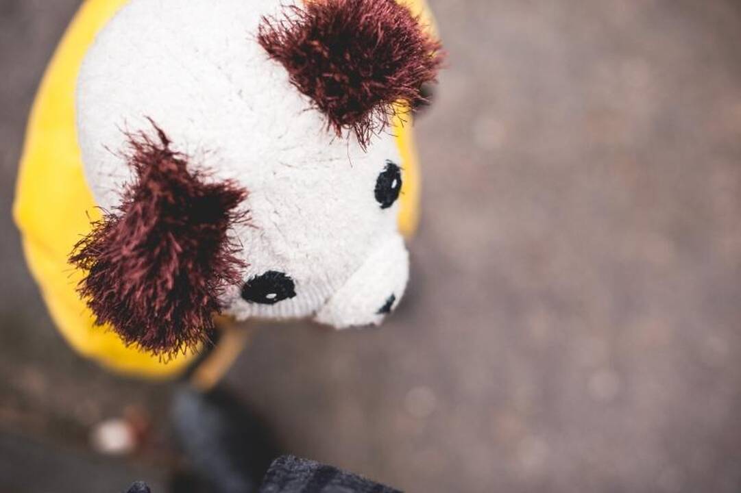 Kauno zoologijos sode duris atvėrė nauji namai ūdroms
