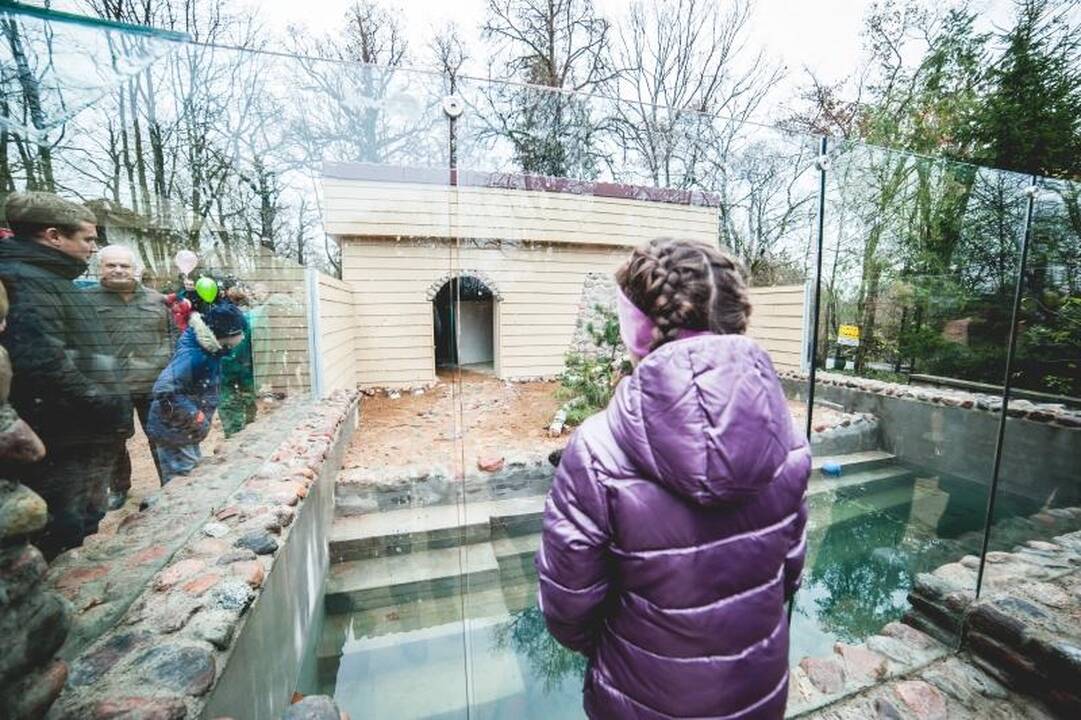Kauno zoologijos sode duris atvėrė nauji namai ūdroms