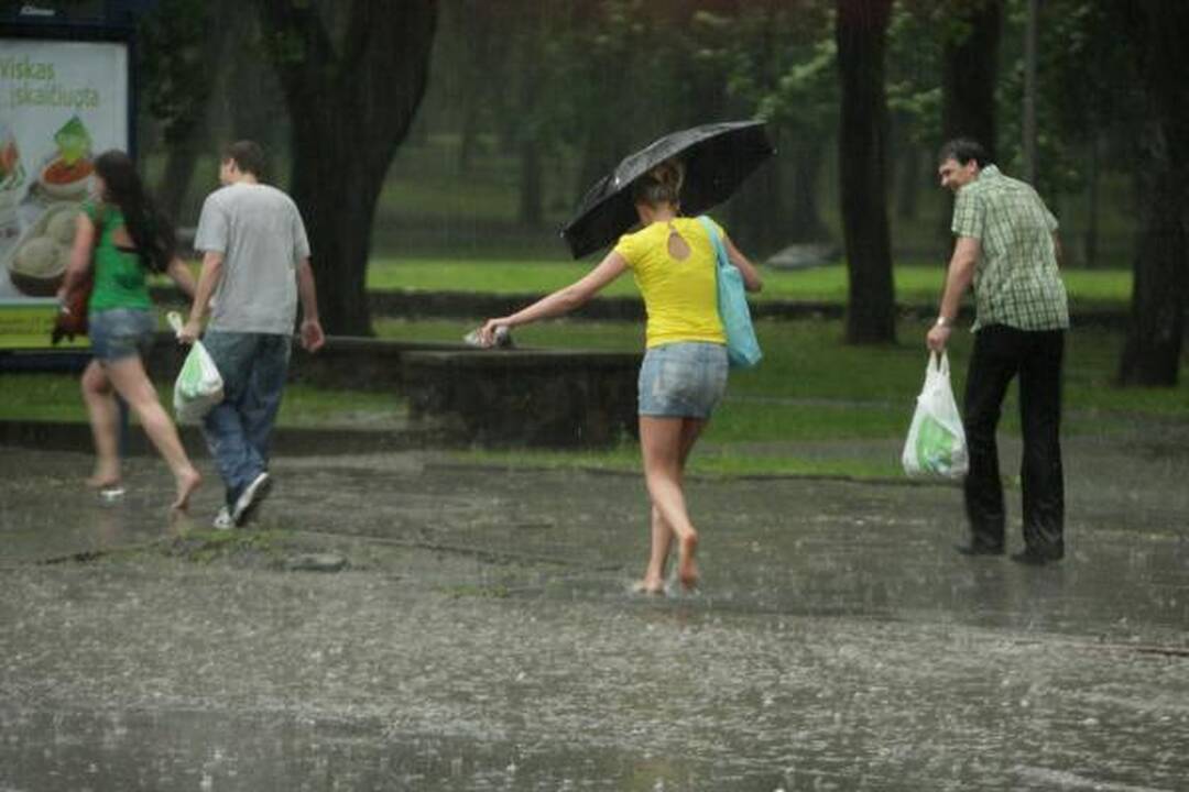 Smarki liūtis Kaune skandino miestą (papildyta)