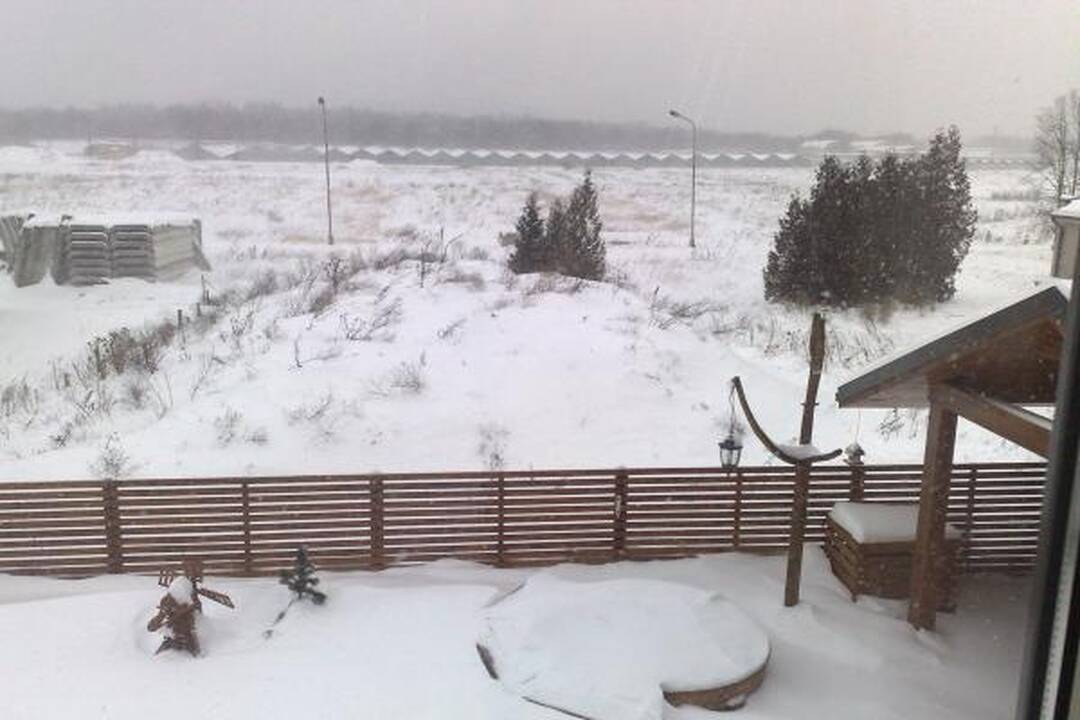 Pūgos šėlsmas Kaune