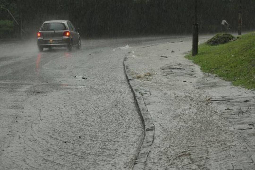Smarki liūtis Kaune skandino miestą (papildyta)