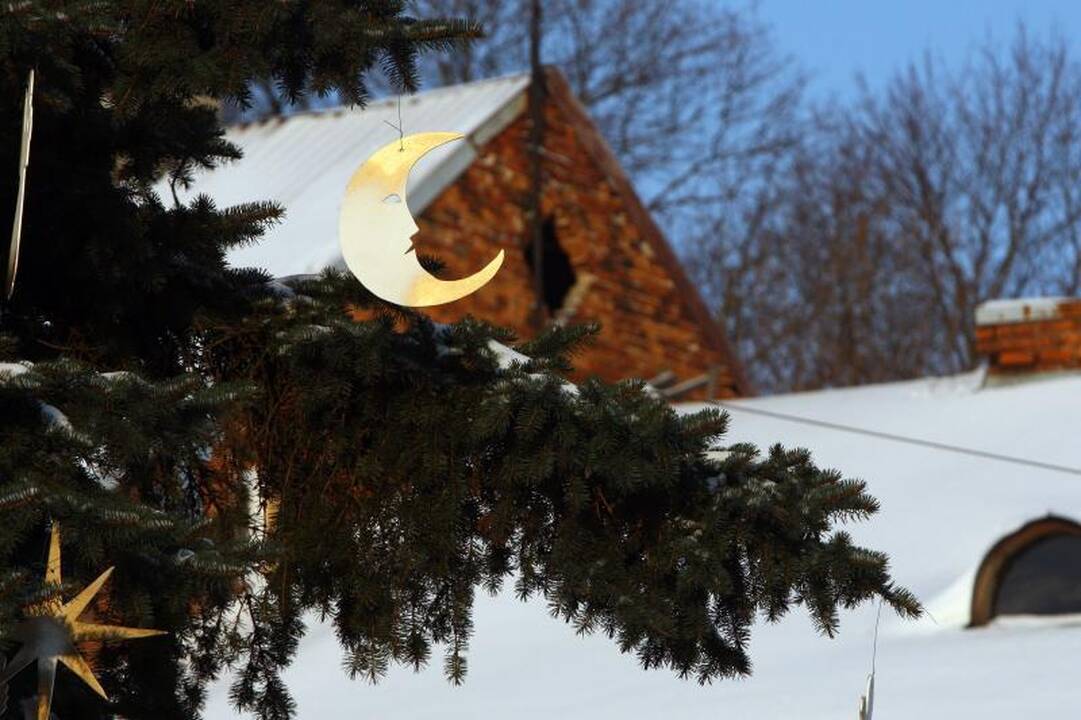 Netradiciškai papuošta eglutė kviečia į atgaivintą turgavietę