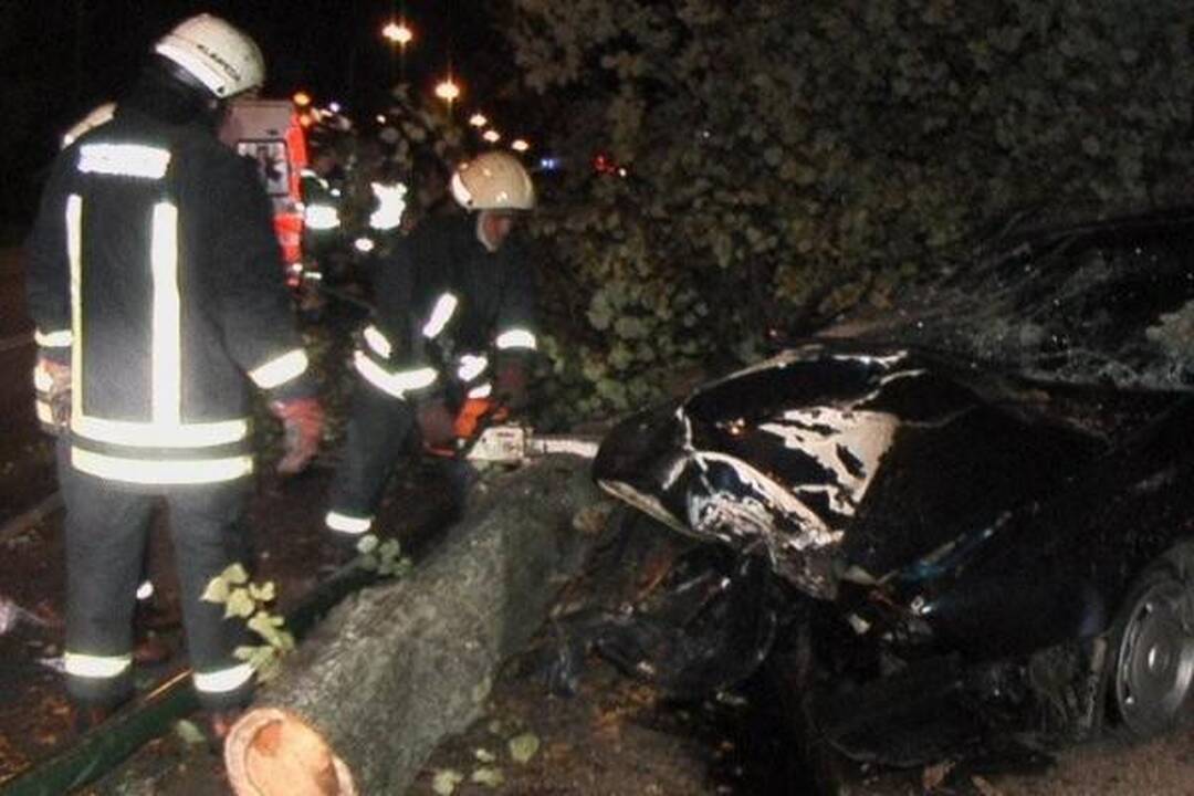 Mašiną sustabdė stulpas ir medis